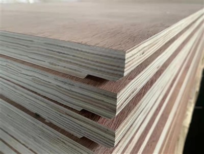 Plăci de podea pentru containere CIMC